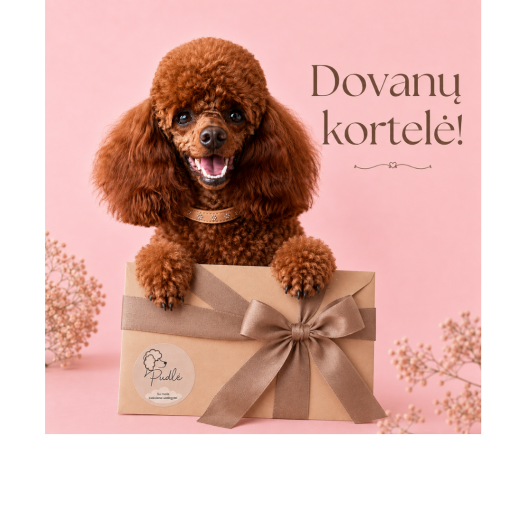 Dovanų kortelė