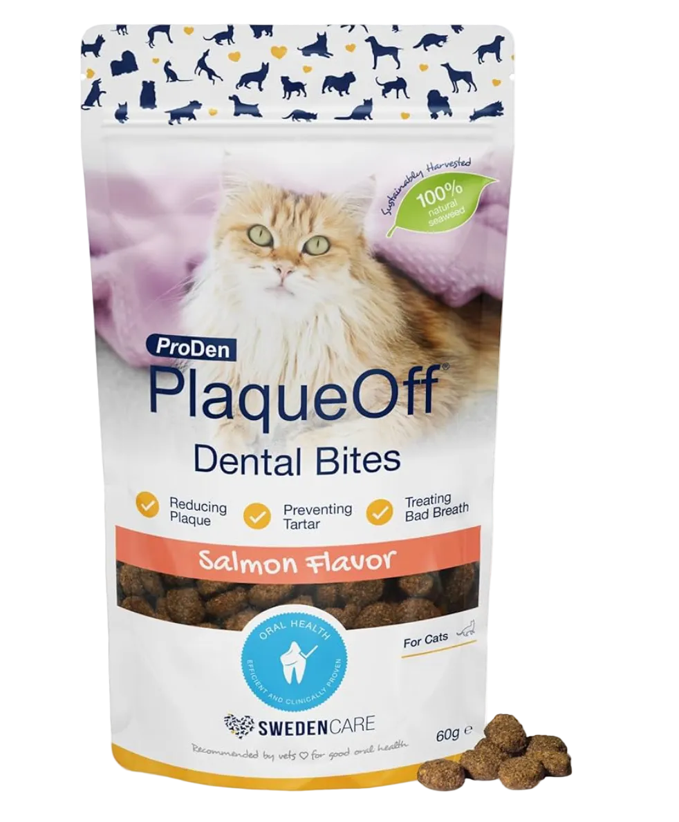 ProDen PlaqueOff Dental Bites lašišos skonio skanėstai kačių burnos higienai 60 g