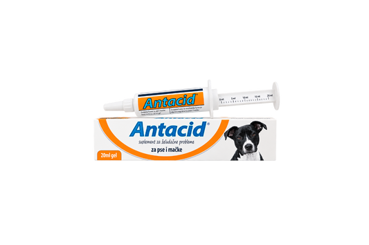 VetPlanet Antacid Gel skrandžio rūgštingumui šunims ir katėms, 20 ml