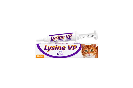 VetPlanet Lysine VP Gel L-lizino gelis katėms ir kačiukams, 20 ml