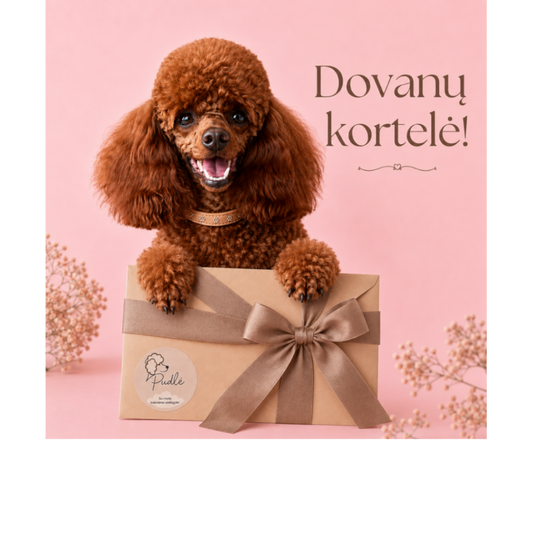Dovanų kortelė