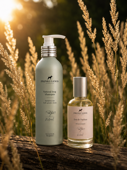 Rinkinys kvapniam šuniui ,,Green Tea & Bergamot"